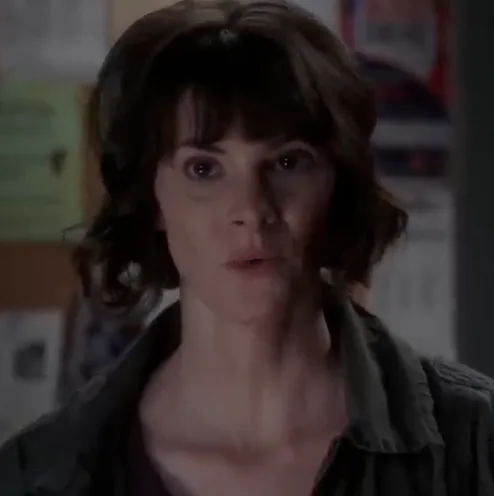 Brooklyn Nine-Nine - I Want It That Way Voicer Choicer pack cover